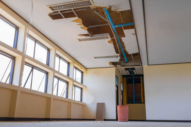 Best Commercial water damage restoration  in Feather Sound, FL