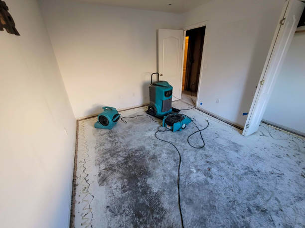 Best 24-hour water damage restoration  in Feather Sound, FL