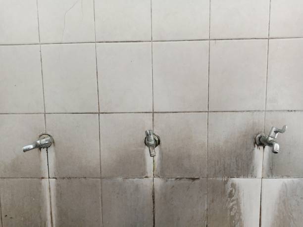 Feather Sound, FL Water damage restoration Company